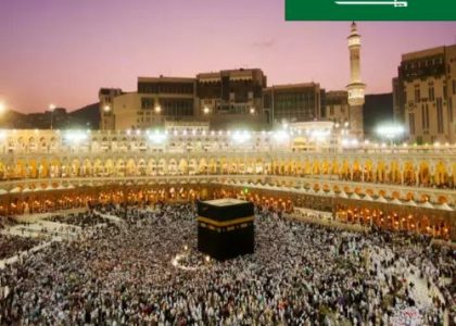 Jasa Visa Saudi, Amil, Haji Furoda, mujamalah, Dakhili Resmi